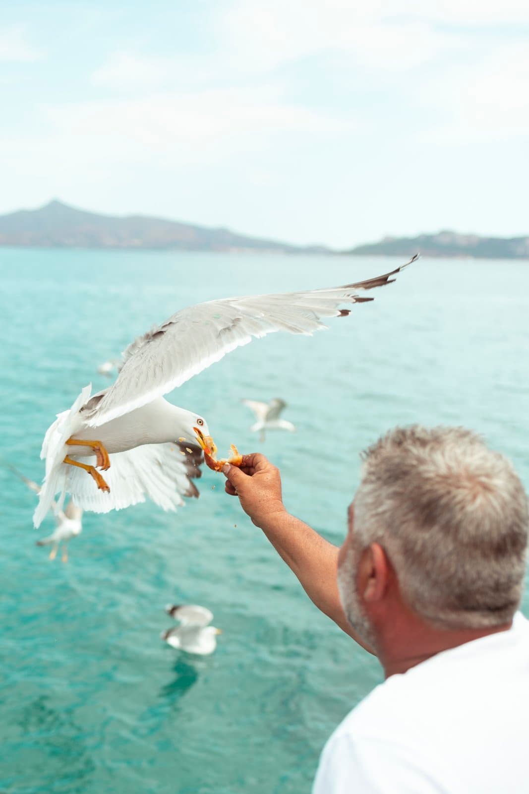 Blue waters and bright skies